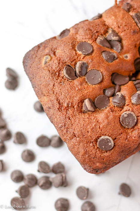 Close-up of the loaf of chocolate chip banana bread.