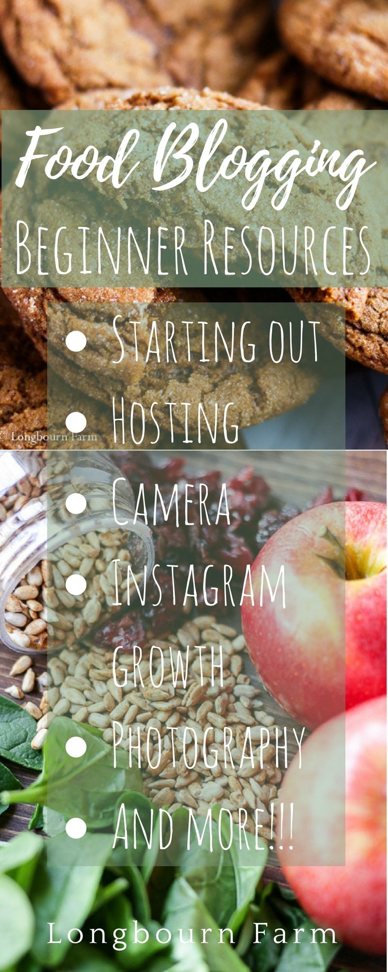 Starting a blog can be challenging, especially in such a huge industry like food blogging! Here are some of my favorite resources to help you get started on the right foot. This is everything I wish I would have known when starting out!