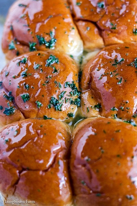 Close-up of unbaked ham and cheese sliders. 