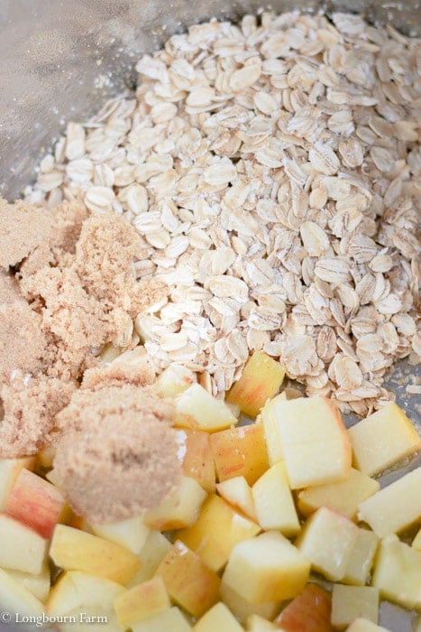 Oats, brown sugar and apples in an Instant Pot.