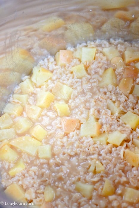 Cooked apple cinnamon instant pot oatmeal in an instant pot.