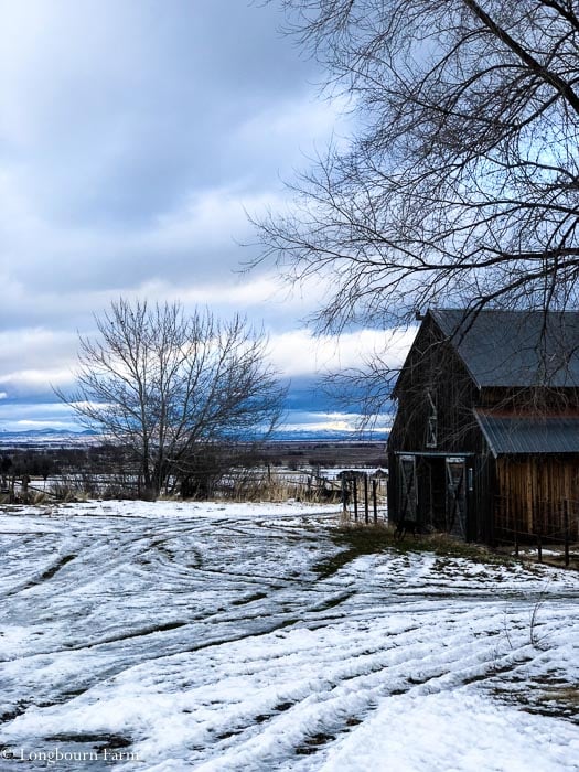 Old wooden barn on a stormy morning with icy snow on the ground. 