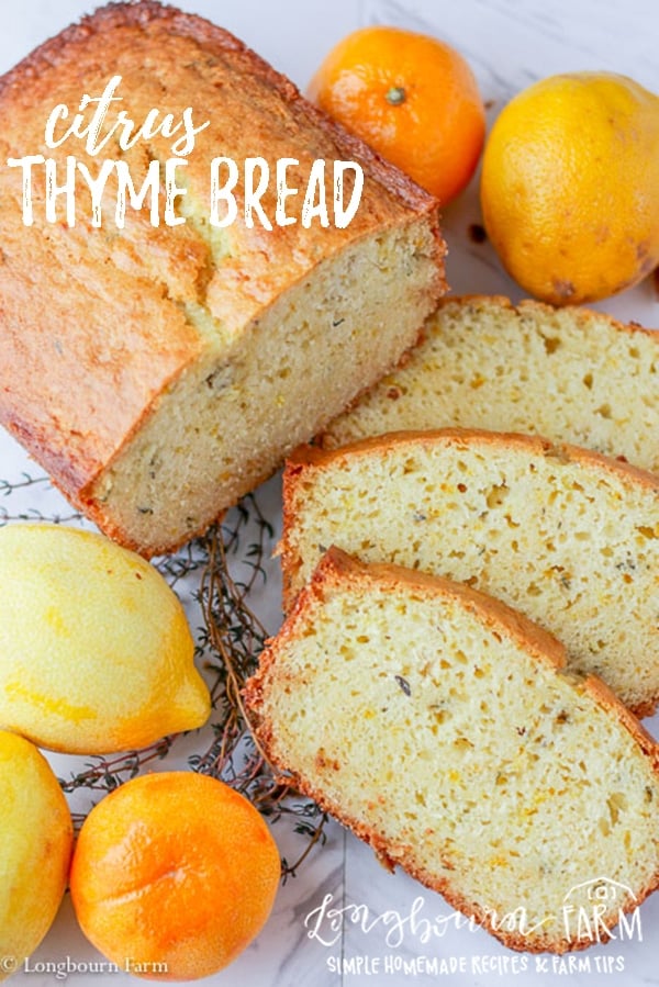 Citrus thyme bread is a fresh twist on a classic sweet bread. Quick to make, it's worth every minute of baking time! Packed with citrus flavor, customize it to your taste. #bread #lemon #orange #lemonzest #orangezest #zest #citrus #citruszest #citrusjuice #thyme #thymebread #lemonbread #orangebread #lemonthymebread #quickbread #baking #bakingday