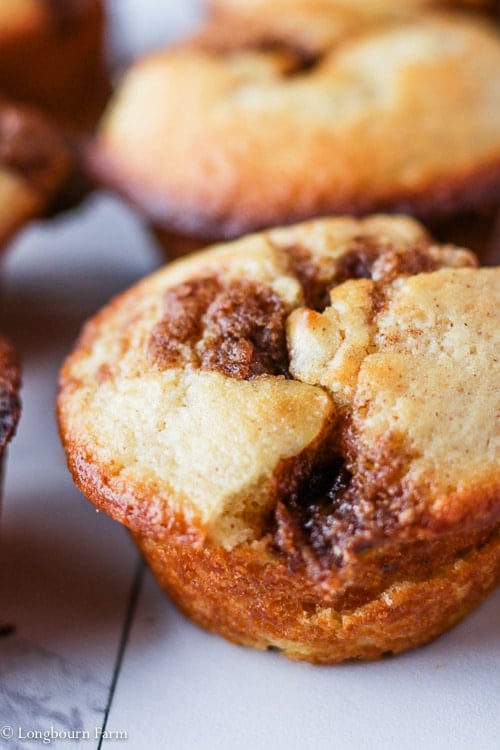 Brown Sugar Cinnamon Muffins