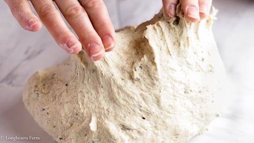 Showing that the homemade focaccia dough should stick slightly to fingers once you are done kneading it.