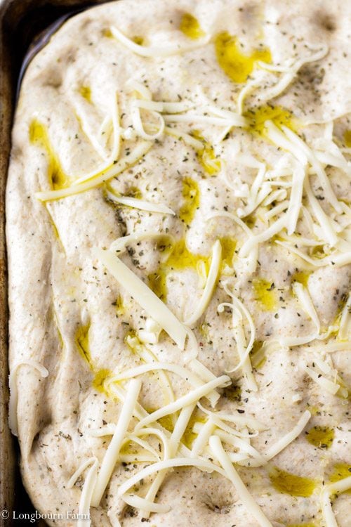 Prepped homemade focaccia recipe dough topped with olive oil, cheese, and herbs ready to go into the oven.