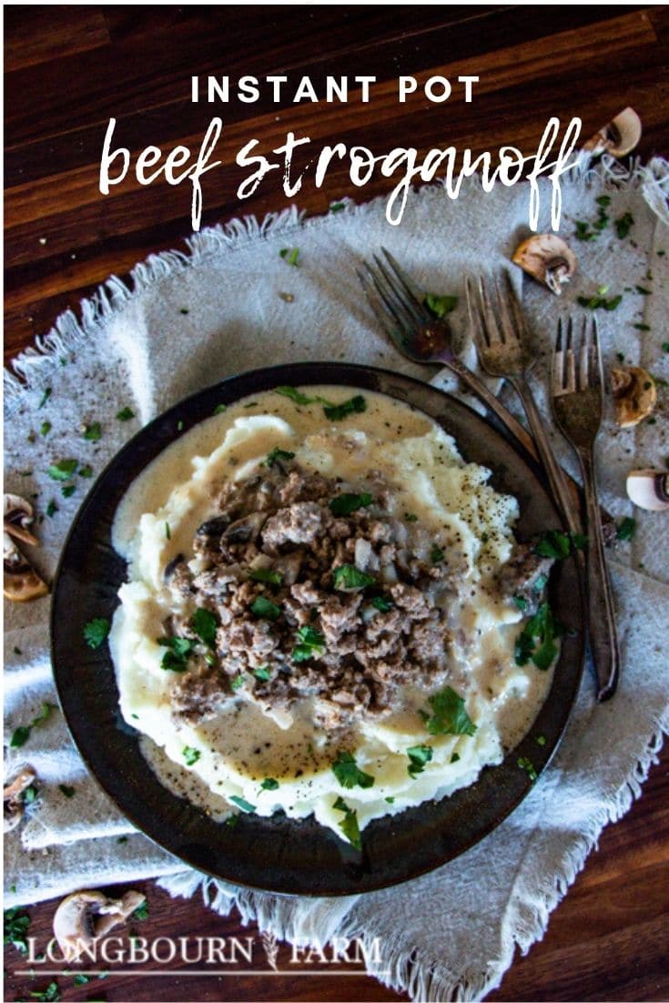 Stroganoff is one of those comfort dishes that everyone can enjoy and you can enjoy it even more with this Instant Pot ground beef stroganoff recipe. It’s an easy one pot recipe perfect for a fast dinner.