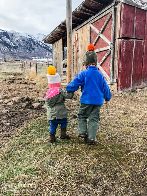 Abram and Aspen holding hands walking towards the chicken coop. 