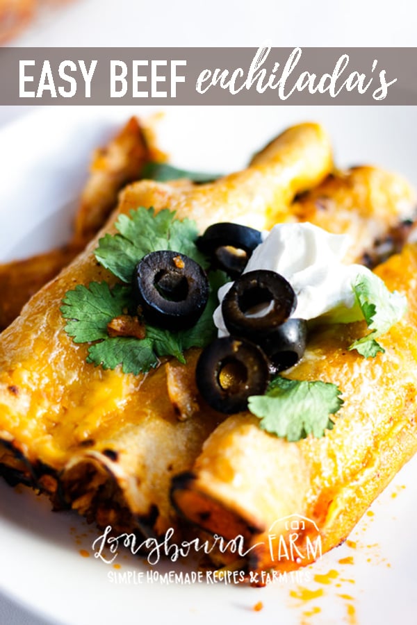 Easy beef enchilada recipe! This recipe is so good with a completely homemade enchilada sauce that doesn't take a blender to make. SO EASY! Plus 3 ideas for making beef enchilada freezer meals! #freezermeal #enchiladas #beef #beefenchiladas #easyenchiladas #bestenchiladas #homemadeenchiladas #homemademeal #homecooking #fromscratch