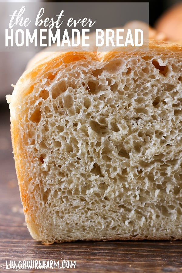 This is the best homemade bread recipe! The bread is soft and airy with a perfect buttery crust. It will turn out every time you make it. Try it today! #bread #homemadebread #bakingbread #bakingday #fromscratch #breadfromscratch #homemade #howtobake #howtobakebread