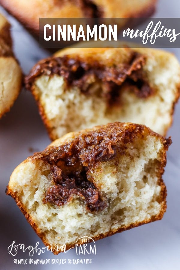 Cinnamon muffins are so easy to make and full of pockets bursting with cinnamon flavor. Great for a snack or breakfast on the go, these muffins keep well and can be frozen for later! #muffins #homemade #cinnamon #cinnamonmuffins #baking #bakingday #bakingmuffins