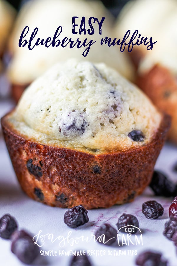 Making blueberry muffins doesn't have to be hard. Make these easy blueberry muffins today! Frozen or fresh blueberries and simple ingredients make it a delicious and quick breakfast. #blueberry #blue #berry #muffin #blueberrymuffin #homemademuffins #homemadeblueberrymuffin #homemade #fromscratch #bakingfromscratch #homemadebaking #baking #bakingday