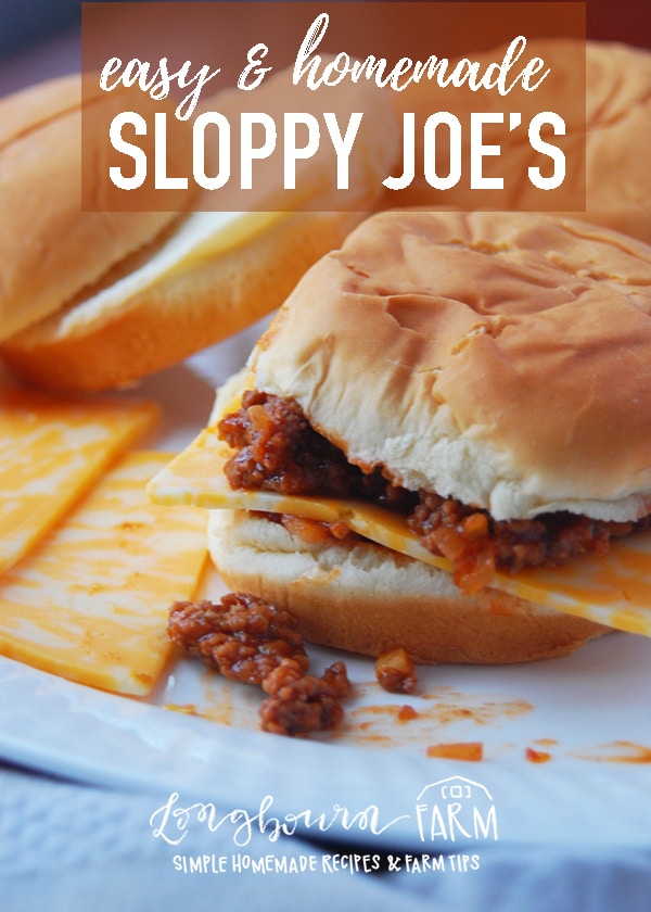 Easy Sloppy Joe Recipe • Longbourn Farm