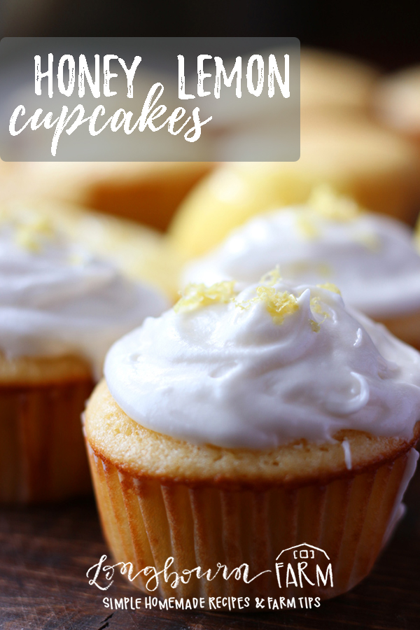 Simple recipe for moist & flavorful honey lemon cupcakes plus three amazing baking tips to make sure your baked goods don't turn out dry or tough! #cupcakes #baking #bakingday #cake #lemon #honey #honeylemon #lemonhoney #lemoncupcakes #lemoncake #lemonhoneycake #honeylemoncake #honeylemoncupcakes #citrus 