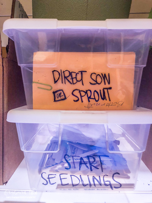 Seed packages sorted into two plastic containers based on if they are direct sow or sprout or seed to be started as seedlings. 