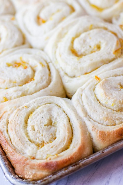 Baked orange rolls touching on a sheet pan. 