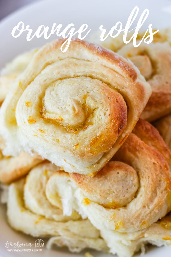 Orange rolls are an old classic recipe and perfect for any holiday dinner! These orange rolls are dripping with orange flavor and have just a touch of sweetness. #easter #christmas #rolls #yeastbread #orangerolls #orange #orangezest #orangeflavor #easyrolls #holiday #holidaymeal