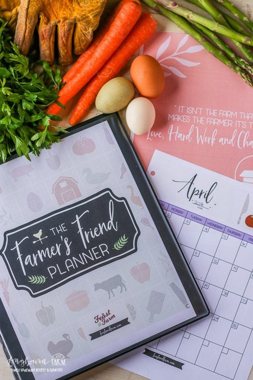 Assembled Farmer's Friend farm planner with sheets out next to it with eggs, gloves, and produce surrounding the farm planner.