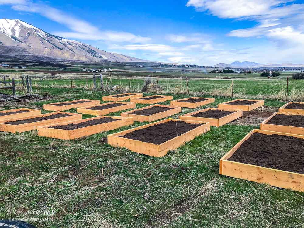 Building Raised Planter Boxes
