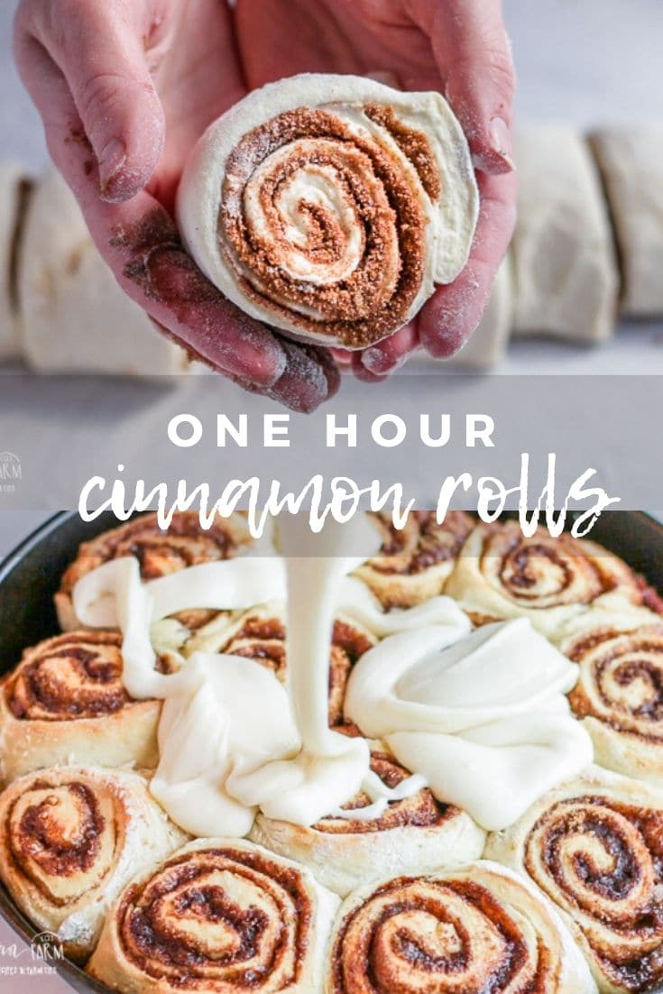 This recipe for the best homemade cinnamon rolls is delicious and simple! The filling is nice and flavorful without being too gooey, they are the perfect balance of roll and filling! #cinnamon #cinnamonroll #cinnamonrolls #homemade #longbournfarm #homemadecinnamonrolls #homemadebread #fromscratch