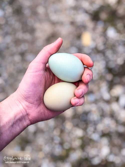 A hand holding two eggs.