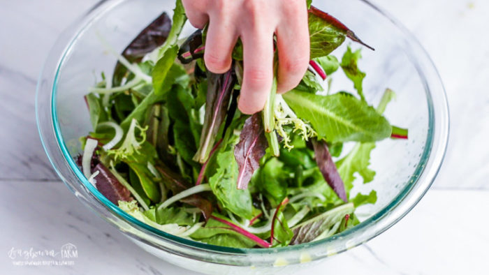 Tossing onions into greens for easy green salad and lemon vinaigrette.