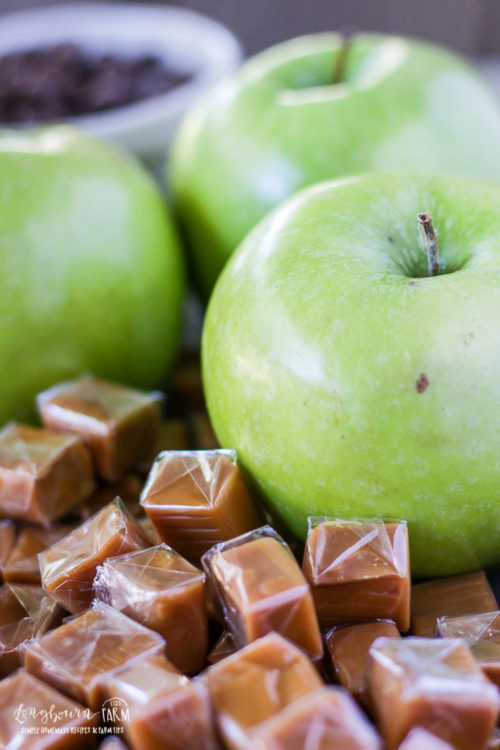 Close-up of an apple next to caramel pieces. 