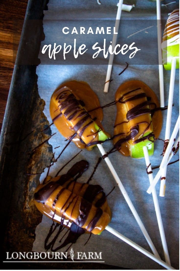 These adorable caramel apple slices are easy to eat and fun for the whole family to make! Crisp apples, chewy caramel, and festive toppings! Perfect easy Halloween treats to make with the kids. Wonderful Fall gift for neighbors. #longbournfarm #caramelapples #caramelappleslices #appletreat #kidtreat #halloweentreat #easyhalloweentreat #easycaramelapples #halloweenparty