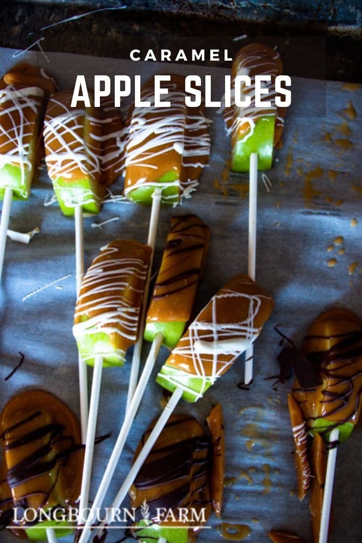These adorable caramel apple slices are easy to eat and fun for the whole family to make! Crisp apples, chewy caramel, and festive toppings! Perfect easy Halloween treats to make with the kids. Wonderful Fall gift for neighbors. #longbournfarm #caramelapples #caramelappleslices #appletreat #kidtreat #halloweentreat #easyhalloweentreat #easycaramelapples #halloweenparty