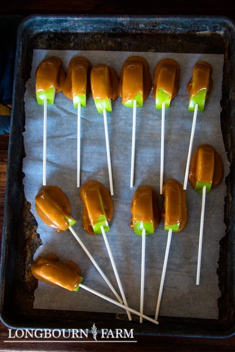 caramel covered apple slices on sticks on a parchment lined baking sheet