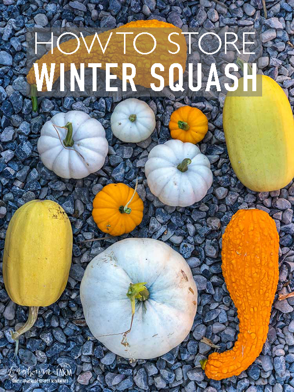 Learning how to store your beautiful harvest is as important as growing it! Learn all about Winter Squash Storage, and how you can keep them for months. #longbournfarm #farmtips #farming #hobbyfarm #smallfarm #hobbyfarmlife #countrylife #smallfarming #gardening #gardener #garden #dreamgarden #farmhouse #farmhouselife #squash #wintersquash #butternutsquash #acornsquash #spaghettisquash