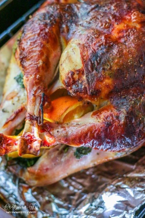 Learn everything you need to know to make this Thanksgiving turkey perfect. How to season a turkey, to roast a turkey in the oven and how to tell when the turkey is done. #thanksgivingturkey #thanksgivingturkeyrecipes #turkeyrecipesoven #roastturkey #roastturkeyrecipes #longbournfarm #thanksgivingrecipes