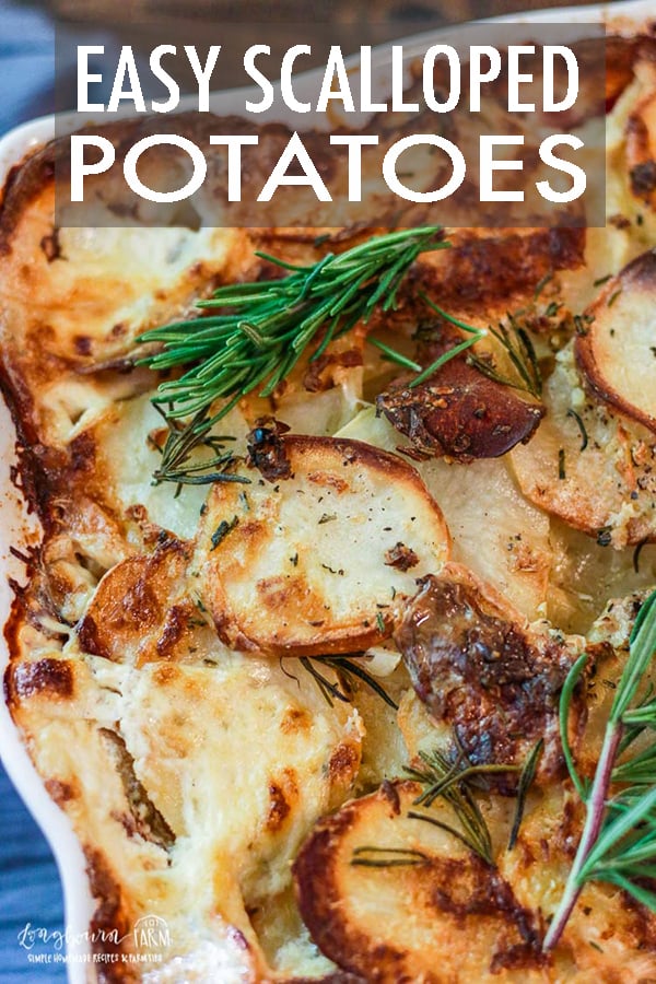 Easy scalloped potatoes are simple but creamy and flavored with fresh herbs. It's the perfect addition to any table spread and perfect for the holidays. #scallopedpotatoes #scallopedpotatoesrecipe #easyscallopedpotatoes #simplescallopedpotatoes #creamyscallopedpotatoes