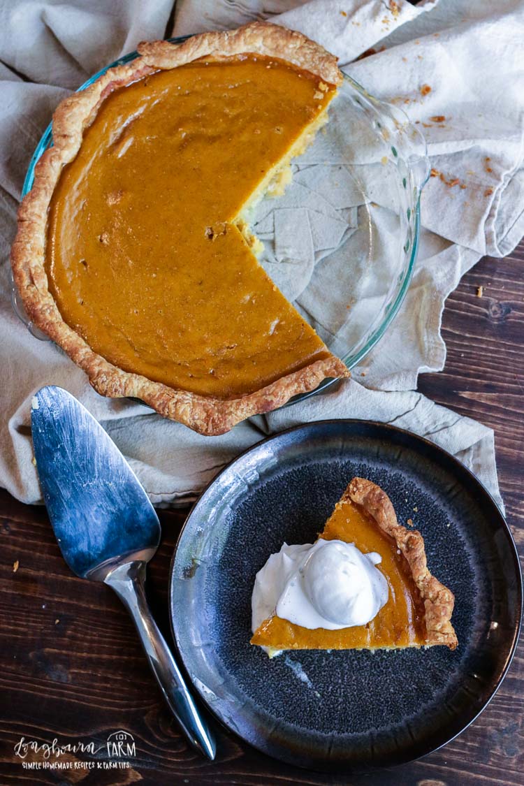 Best Pumpkin Pie Recipe from Scratch