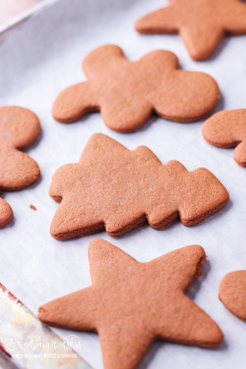 Baked gingerbread cookies on a baking sheet. 