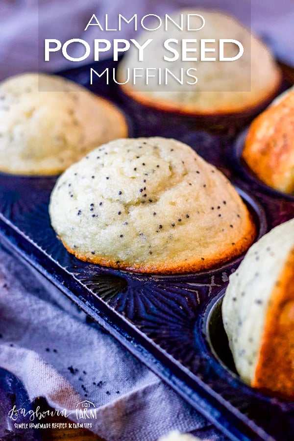 Almond poppy seed muffins are light, fluffy, and a perfect combination of flavor! Make a double batch and freeze some for a quick breakfast on-the-go. #poppyseedmuffins #almondpoppyseedmuffins #almondpoppyseedmuffin #almondpoppyseedmuffinrecipe #poppyseedmuffinrecipe #poppyseedmuffineasy