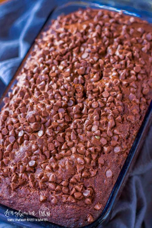 Chocolate banana bread takes regular banana bread to a whole new level! Rich and chocolatey with a good balance of banana flavor. #bananabread #chocolatebread #chocolatebananabread #chocolatebananabreadrecipe #chocolatebananabreadeasy #chocolatebananamuffins #chocolatebananabreadmoist