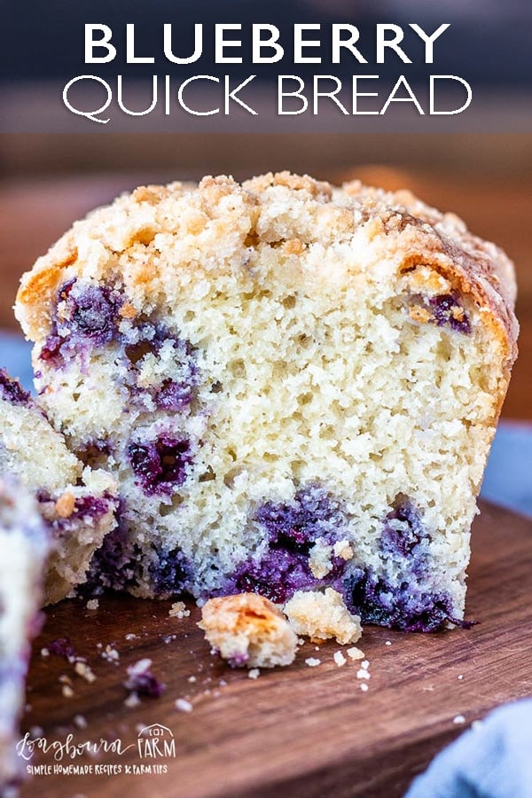 This blueberry bread recipe is easy and delicious! The crumb topping is sweet and crunchy, perfect when paired with the soft and fluffy inside. #blueberrybread #blueberrybreadrecipe #blueberrybreadeasy #blueberryquickbread #blueberryquickbreadrecipe #blueberryquickbreadeasy #blueberrybreadmoist #blueberrybreadwithcrumbtopping