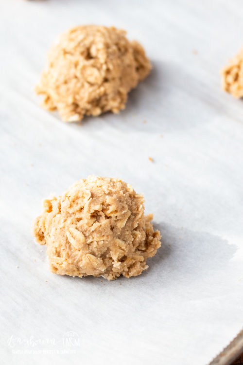 Close-up of homemade oatmeal cookie dough.