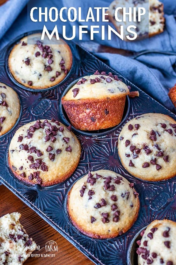 Homemade chocolate chip muffins are a perfect grab-and-go breakfast! Easy to make in one bowl, it's chocolate chip muffin recipe perfection! #chocolatechipmuffins #chocolatechipmuffinseasy #chocolatechipmuffinsrecipe #chocolatechipmuffinshomemade #chocolatechipmuffinsmoist #chocolatechipmuffinsbakerystyle #chocolatechipmuffinsbest 