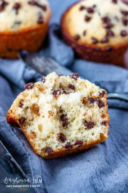 Homemade chocolate chip muffins are a perfect grab-and-go breakfast! Easy to make in one bowl, it's chocolate chip muffin recipe perfection! #chocolatechipmuffins #chocolatechipmuffinseasy #chocolatechipmuffinsrecipe #chocolatechipmuffinshomemade #chocolatechipmuffinsmoist #chocolatechipmuffinsbakerystyle #chocolatechipmuffinsbest
