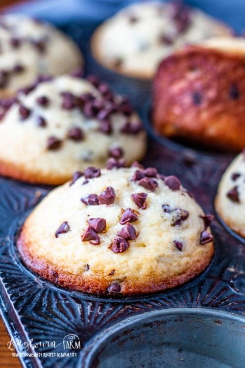 Close-up of homemade chocolate chip muffins.
