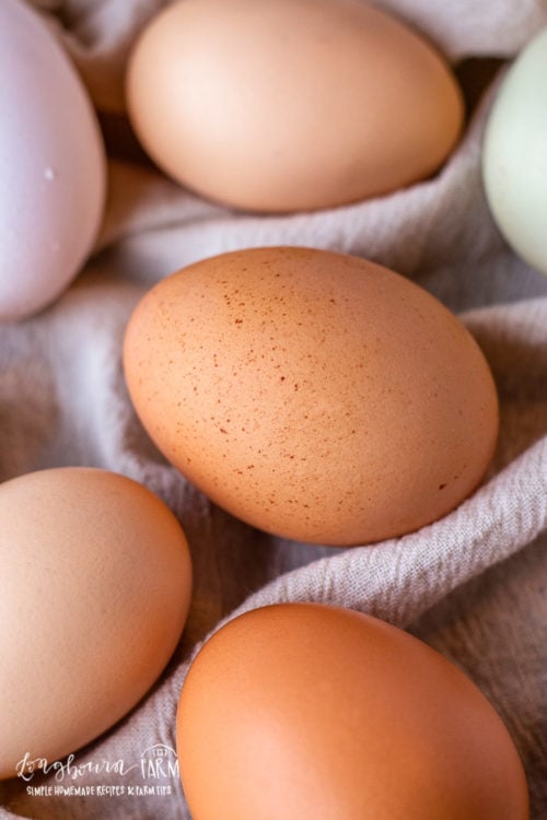 Close-up of a pretty brown speckled hard boiled egg.