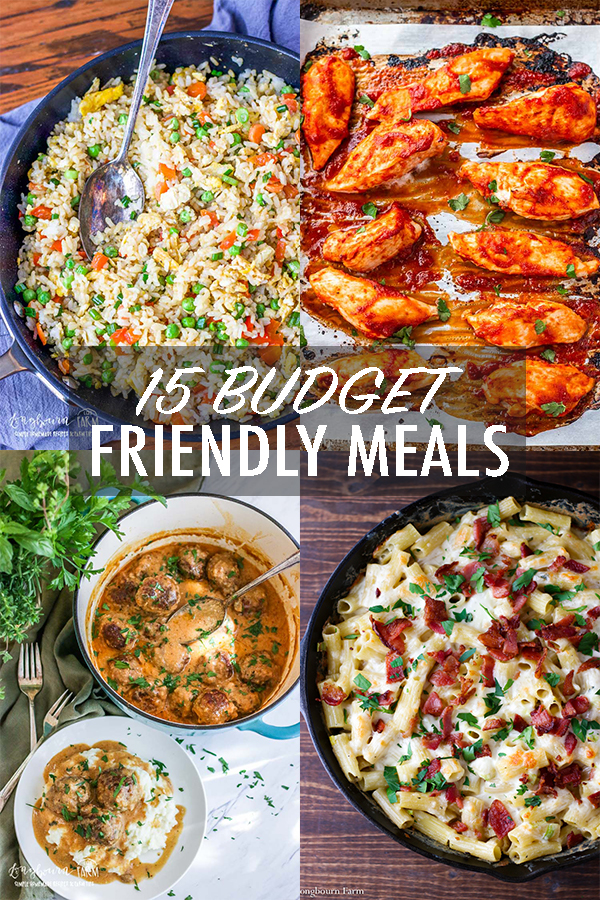 Making good food doesn't have to be expensive! Check out these 15 budget-friendly meals that the whole family is guaranteed to love. #budgetfriendlymeals #familymeals #budgetmeals #budgetfriendlymealsfamilies #budgetmealsfortwo #budgetmealsforfour #budgetmealshealthy 