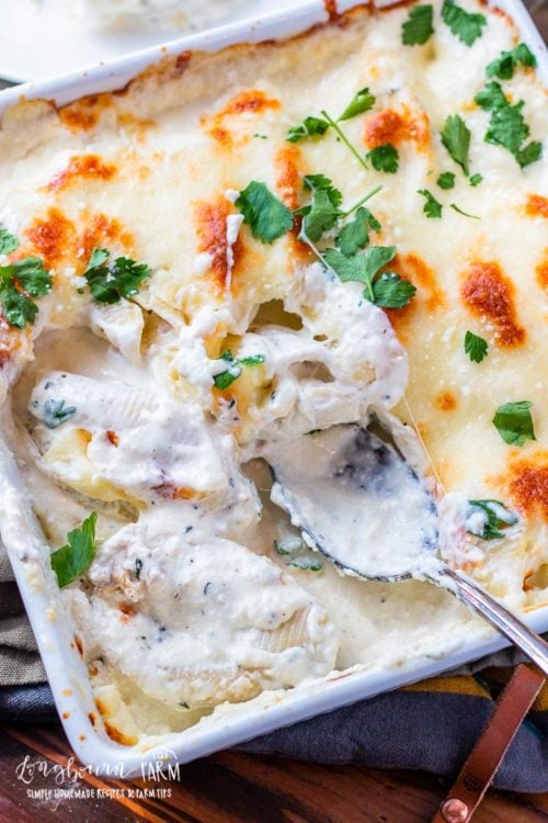 Chicken alfredo stuffed shells are easy to throw together and are a total family favorite. Totally homemade & easy to prep ahead so dinnertime is a breeze. #stuffedshells #creamystuffedshells #alfredostuffedshells #chickenstuffedshells #chickenalfredo #chickenalfredoshells #chickenalfredostuffedshells #creamystuffedshellseasy #stuffedshellsdinner