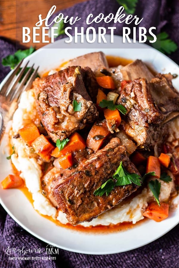 Making braised beef short ribs in the slow cooker is so incredibly easy and delicious! This cooking method gives fall off the bone and flavorful results every time. #shortribs #beefshortribs #beefshortribsslowcooker #beefshortribscrockpot #beefshortribsbraised #beefshortribseasy #beefshortribsbonein #beefshortribsbest #beefshortribsrecipe #beefshortribshowtocook