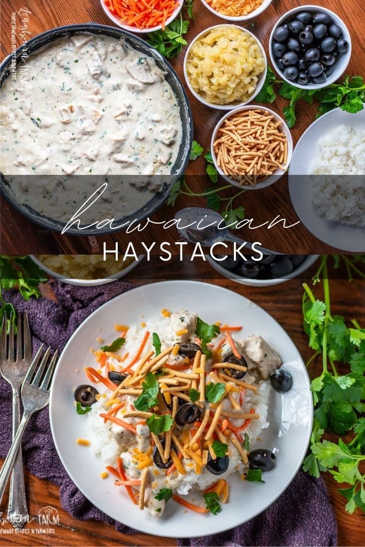 Hawaiian haystacks are a fun and delicious dinner your whole family will love! Tons of topping options over a creamy chicken sauce. #hawaiianhaystacks #hawaiianhaystackseasy #hawaiianhaystackssauce #hawaiianhaystacksbest #hawaiianhaystackstoppings #hawaiianhaystacksrecipe #hawaiianhaystacksgravy