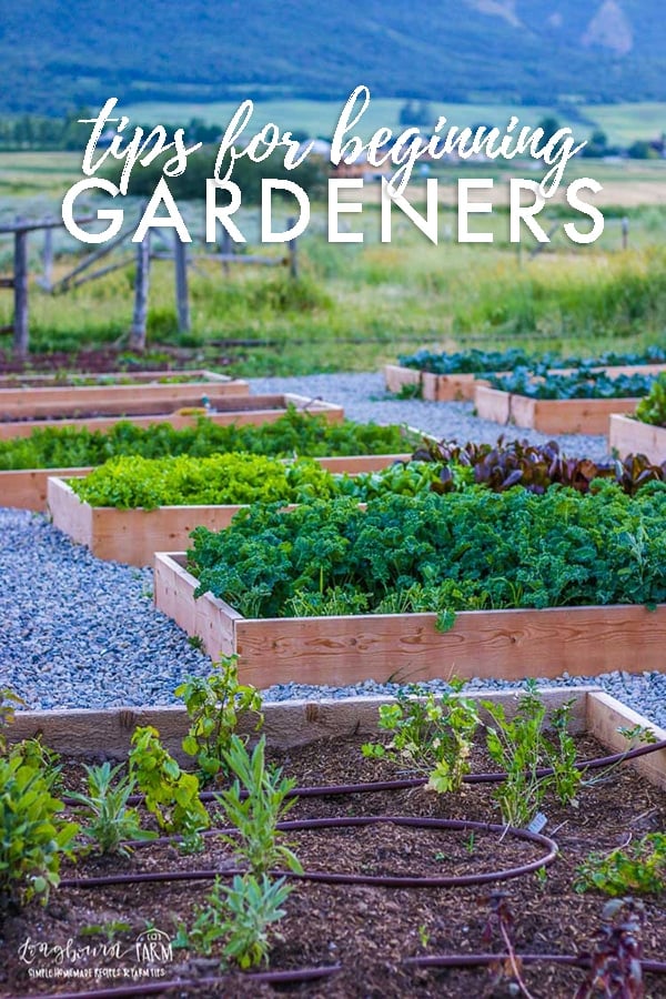 Want to get into gardening but not sure where to start? Learn all the gardening tips for beginners you need to be successful! #gardeningtips #veggiegardeningtips #vegetablegardeningtips #gardeningtipsforbeginners #gardeninghacks #gardeningtipsandtricks #howtogrowvegetables #seedstarting #gardeningsoil