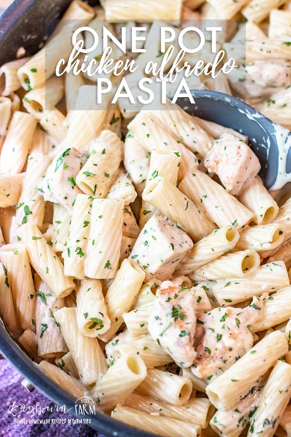 Homemade chicken alfredo is an easy recipe the whole family is sure to love! It only takes one pot and 30 minutes to whip up this delicious dinner! #chicken #chickenalfredo #alfredopasta #chickenalfredo #chickenalfredoeasy #chickenalfredorecipe #chickenalfredopastaeasy #chickenalfredopastarecipe #easydinner #onepotmeal #onepan #onepotdinner #onepandinner #onepanmeal