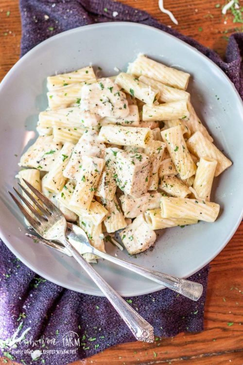Chicken alfredo pasta in a grey bowl with two forks.
